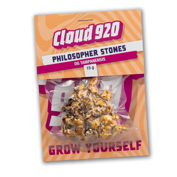Philosopher Stones Truffles | 15 gram