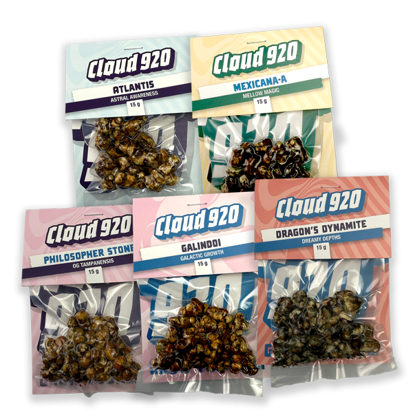 Magic Truffles Value Pack - Discount offer