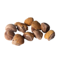 Hawaiian Baby Woodrose (Argyreia nervosa) seeds