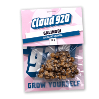 Galindoi Truffles | 15 grams