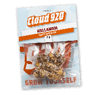 Hollandia Truffles | 15 gram