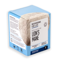 Lion's Mane powder | Hericium erinaceus | 60 g