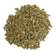 Rye Grain 100% organic