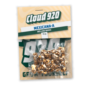 Mexican magic truffles
