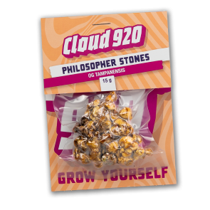 Philosopher Stones Truffles | 15 gram