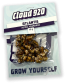 Atlantis Magic Truffles Cloud920