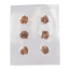  Microdosing Magic Truffles | Vacume sealed 