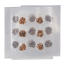  Microdosing Magic Truffles